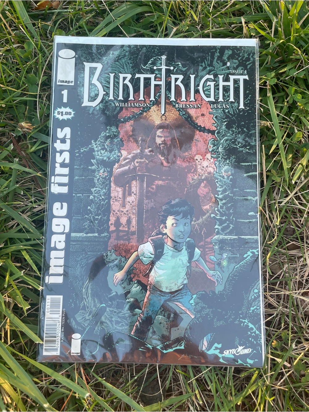 Birthright Comic Bundle - Picture 7 of 9